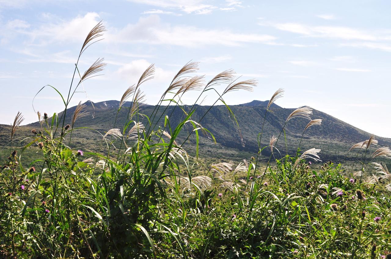 ホライゾン Villa Oshima Bagian luar foto