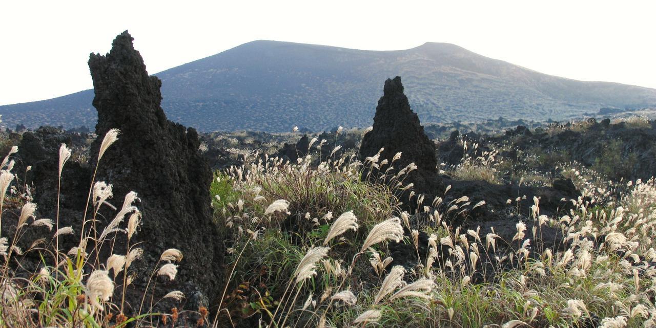 ホライゾン Villa Oshima Bagian luar foto